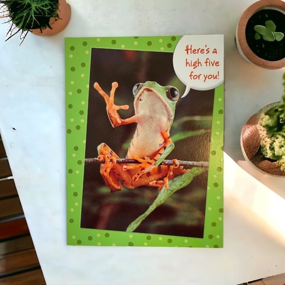 Frog High Five Happy Birthday Card - Picture 5 of 9